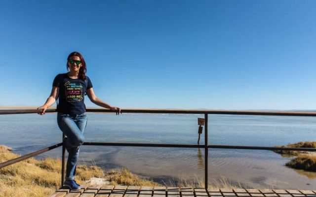Laguna Cejar, Deserto do Atacama