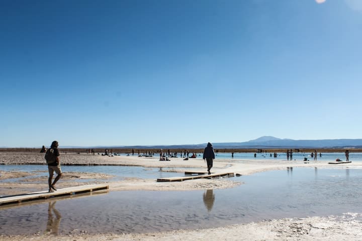 Laguna Piedra, Atacama