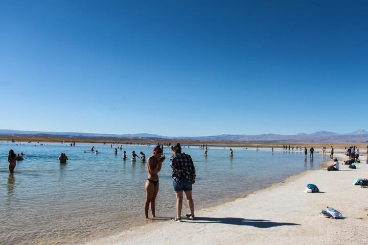 Laguna Piedra, Atacama