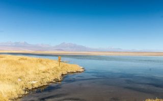 Laguna Cejar, Deserto do Atacama