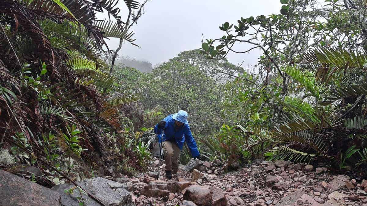 Como subir o Monte Roraima