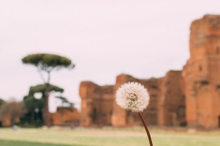 Termas de Caracalla, em Roma