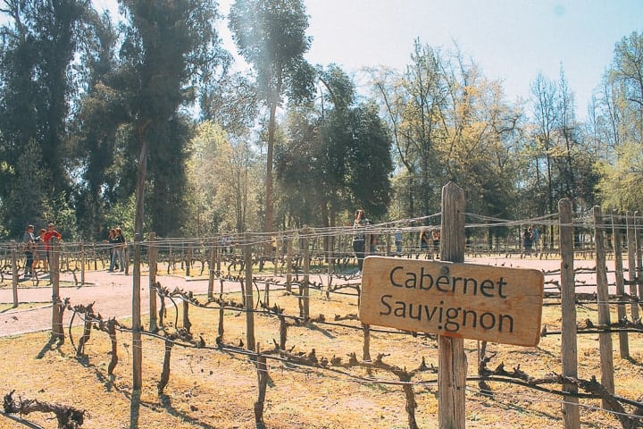 Tour vinícola Conha y Toro em Santiago do Chile