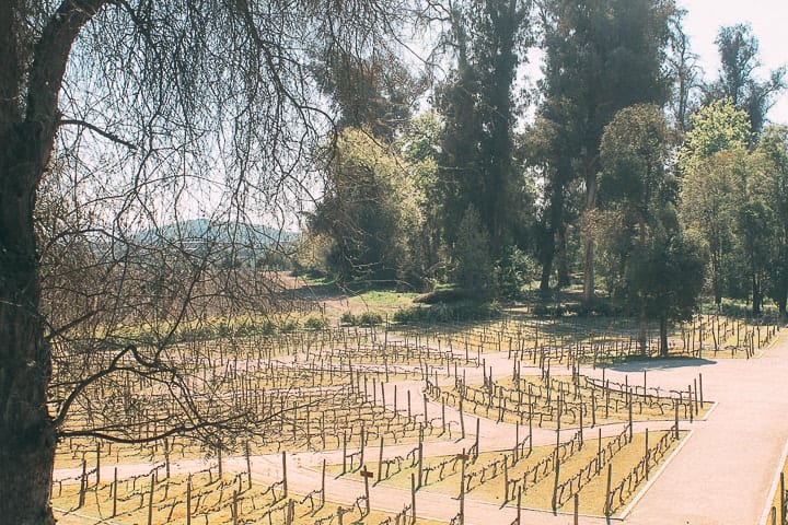 Tour vinícola Conha y Toro em Santiago do Chile