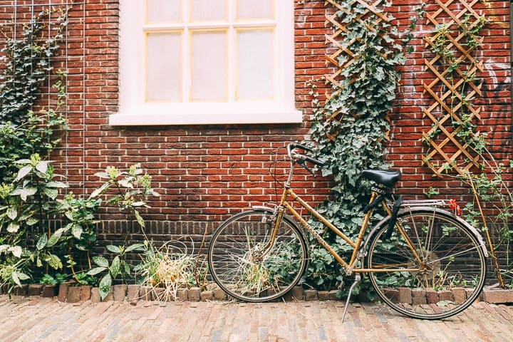 O que fazer em Haarlem, na Holanda