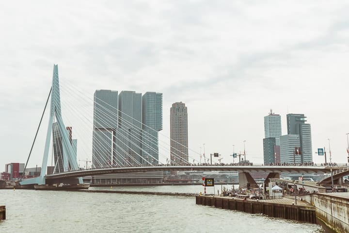 O que fazer em Rotterdam. Ponte Erasmus