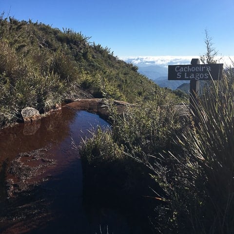 Trilha para a Pedra do Sino, no Parque Nacional de Itatiaia