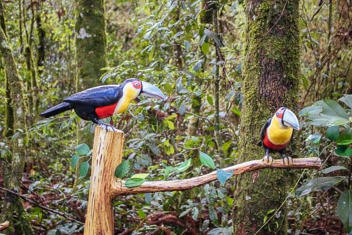 Bondinhos Aéreos de Canela - Parques da Serra