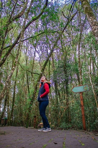 Bondinhos Aéreos de Canela - Parques da Serra