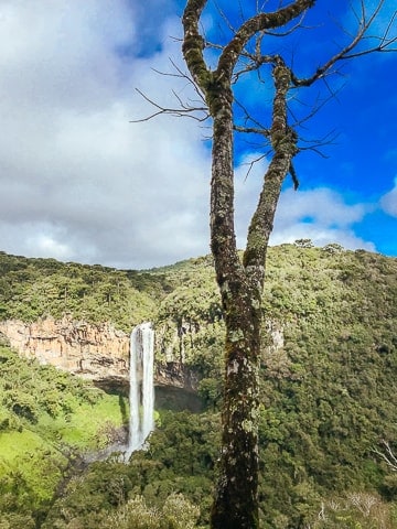 Bondinhos Aéreos de Canela - Parques da Serra