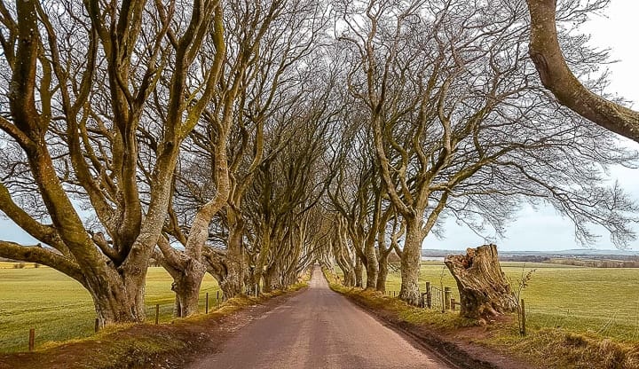 Giant’s Causeway, Irlanda - passeios a partir de Dublin