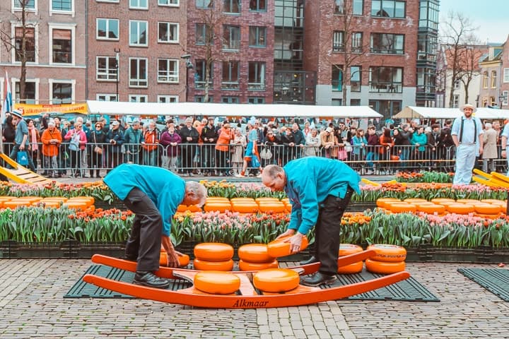 Mercado de queijos de Alkmaar, na Holanda