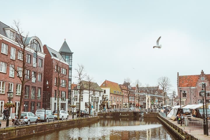 Mercado de queijos de Alkmaar, na Holanda