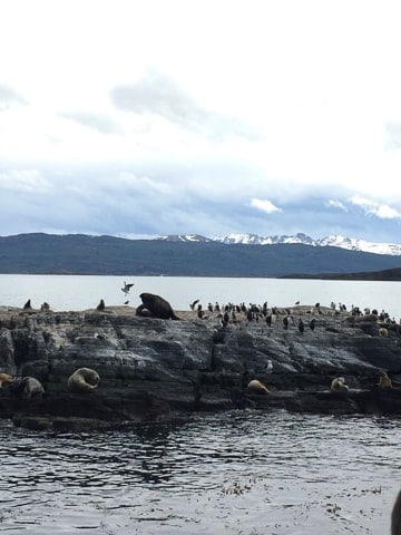 Navegação pelo Canal de Beagle - roteiro em Ushuaia na Patagônia Argentina