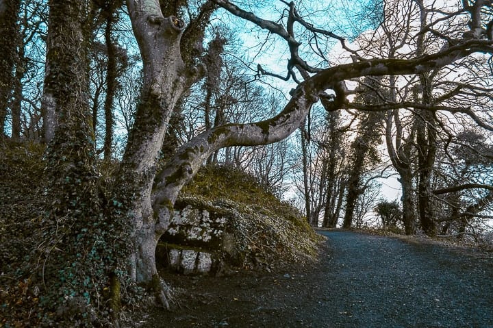 Castle Ward Estate - tour Game of Thrones - Irlanda - passeios a partir de Dublin