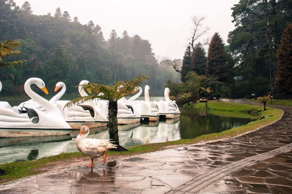 Lago Negro - Final de semana em Gramado e Canela - o que fazer por lá