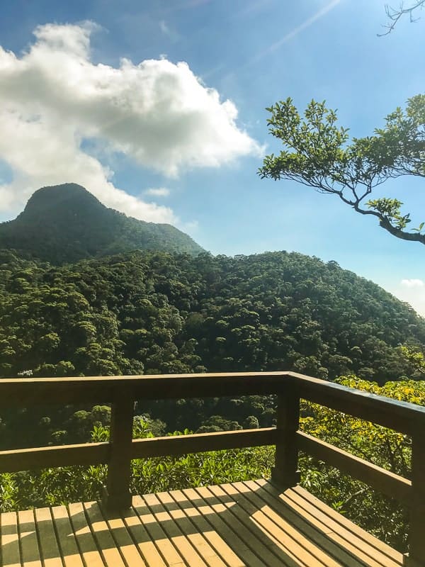 Trilha do Mirante da Cascatinha, na Floresta da Tijuca