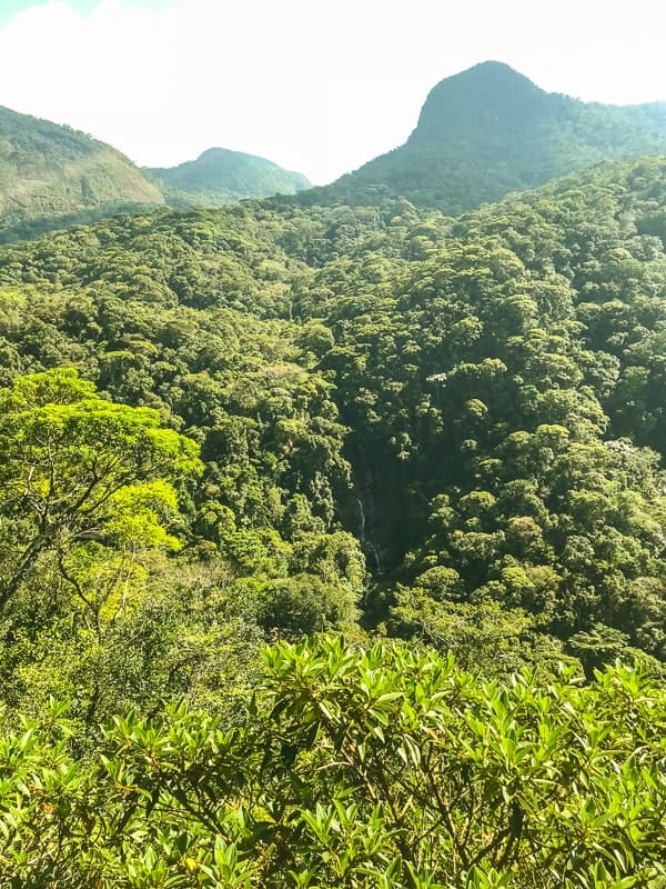 Trilha do Mirante da Cascatinha, na Floresta da Tijuca
