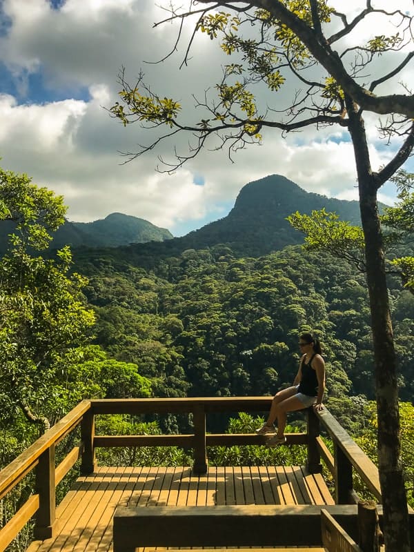 Trilha do Mirante da Cascatinha, na Floresta da Tijuca