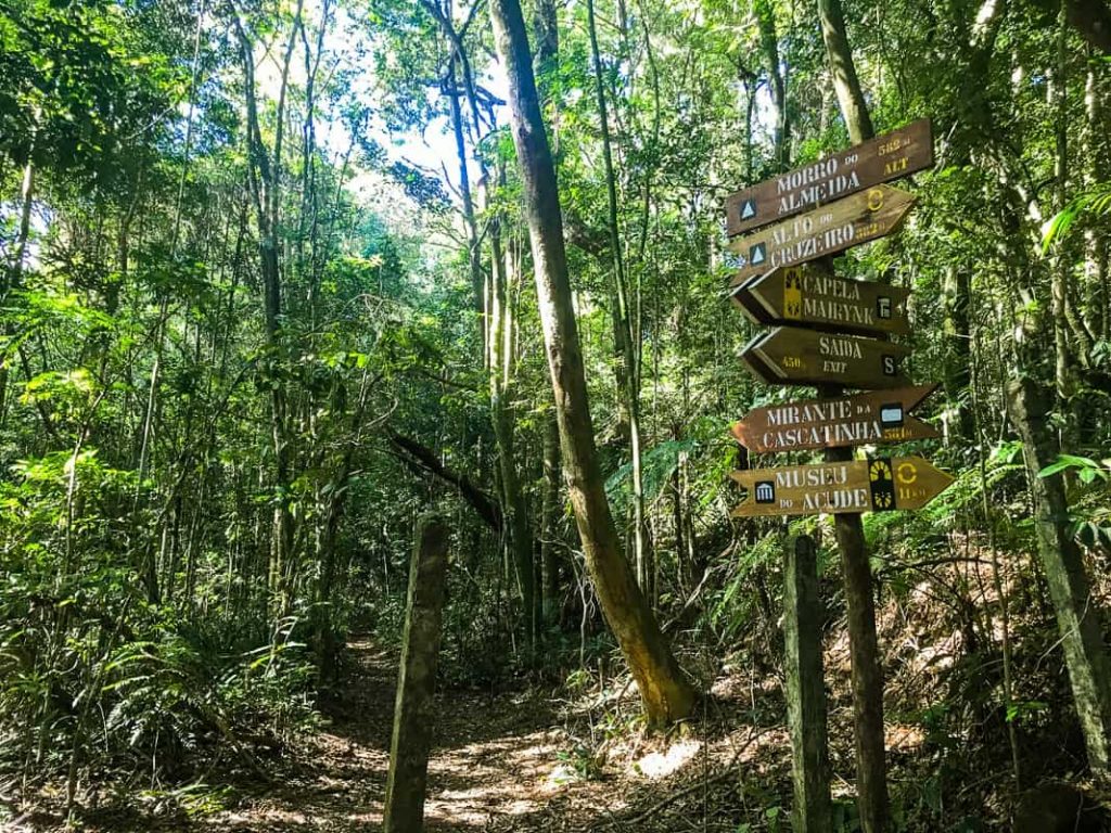 Trilha do Mirante da Cascatinha, na Floresta da Tijuca