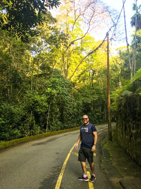 Trilha do Mirante da Cascatinha, na Floresta da Tijuca