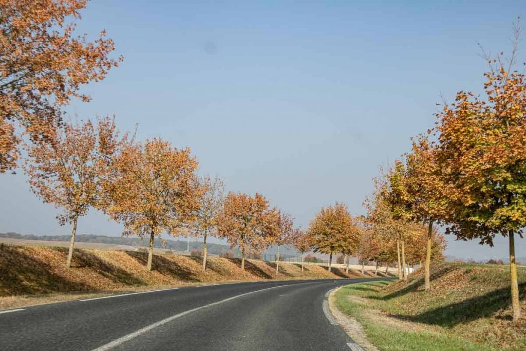 Rota do Champagne na França: de Reims a Epernay