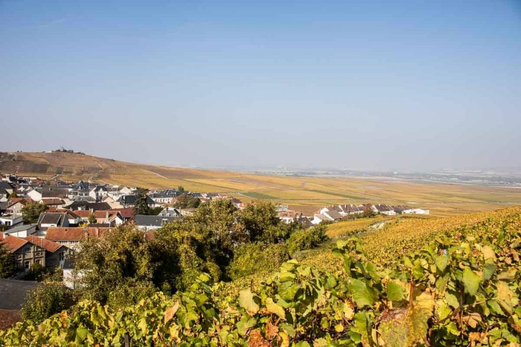 Rota do Champagne na França: de Reims a Epernay