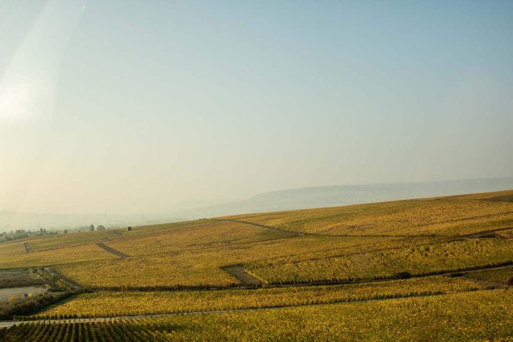 Rota do Champagne na França: de Reims a Epernay