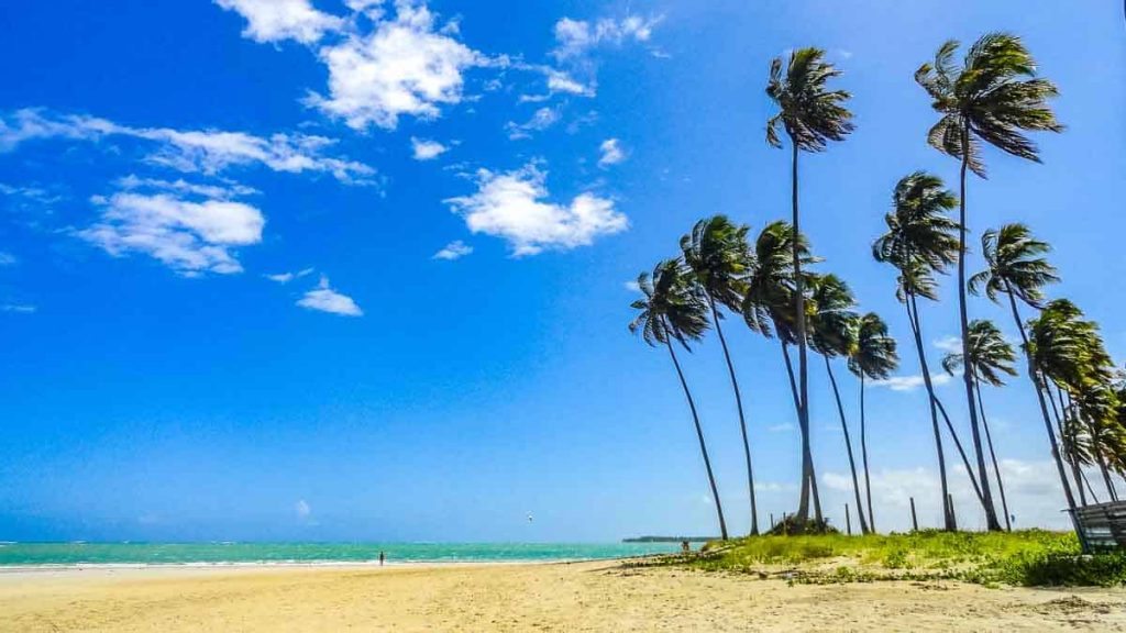 O que fazer em Porto de Galinhas