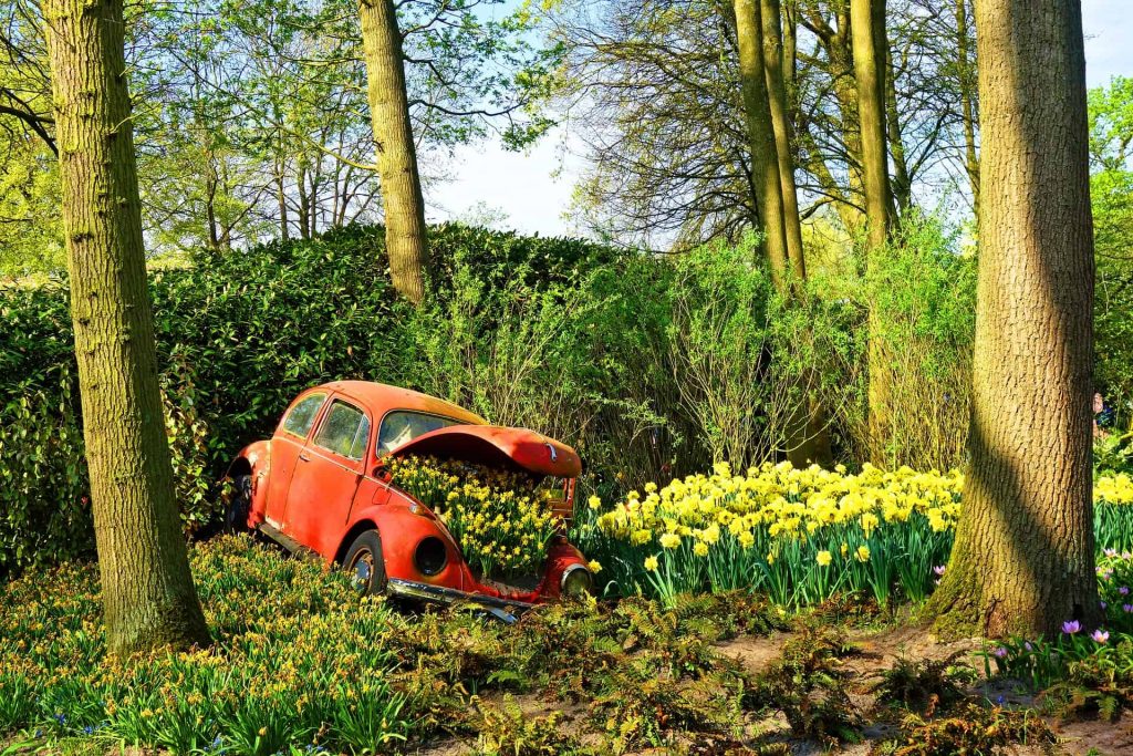 Jardins do Keukenhof - Parque de tulipas da Holanda