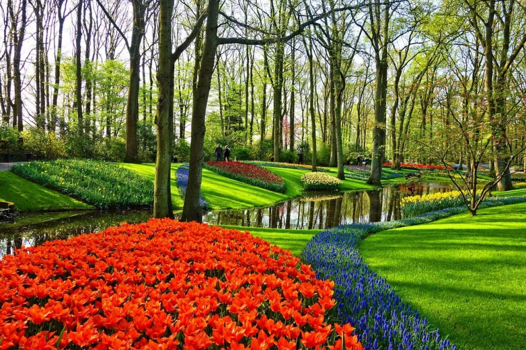 Jardins do Keukenhof - Parque de tulipas da Holanda