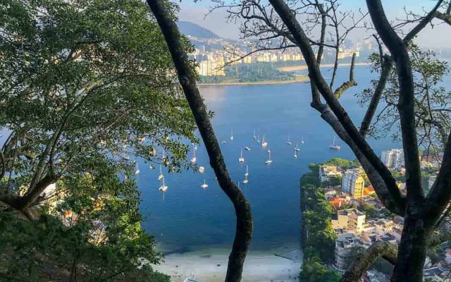 Mirante Trilha Morro da Urca