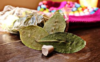 Folhas de coca, como evitar o soroche