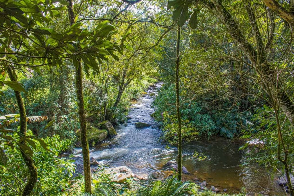 Rio Preto - Visconde de Mauá