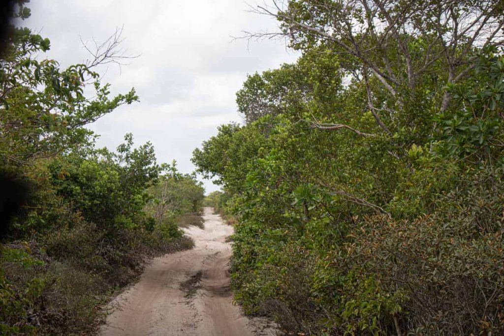 Estradas para o Parque Nacional dos Lençóis Maranhenses