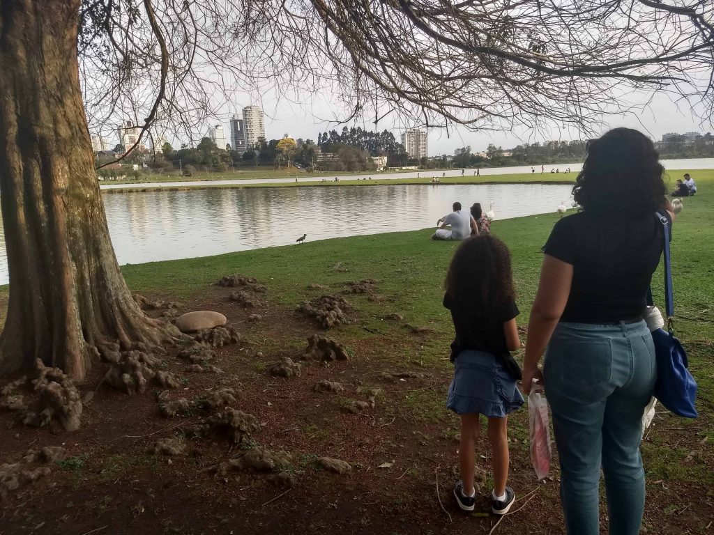 pontos turísticos de Curitiba - Parque Barigui