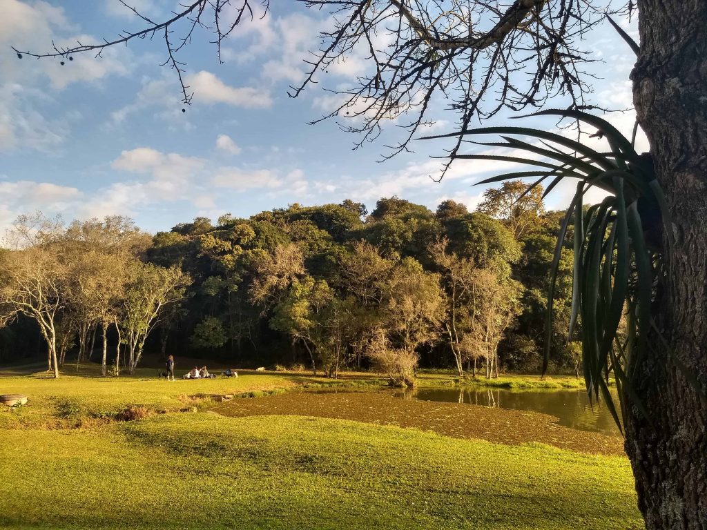 pontos turísticos de Curitiba - Parque Tingui