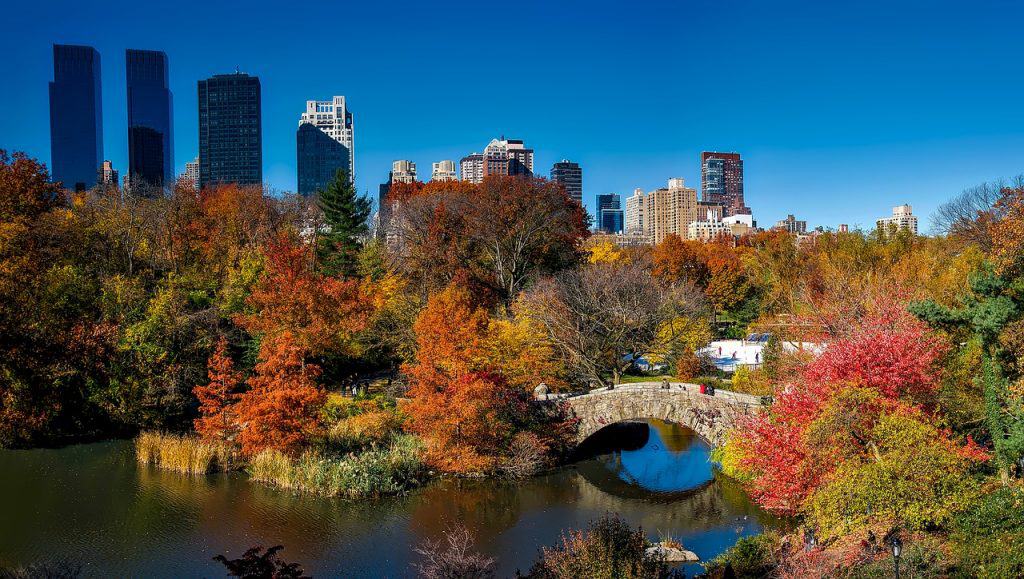 Central Park em Nova York