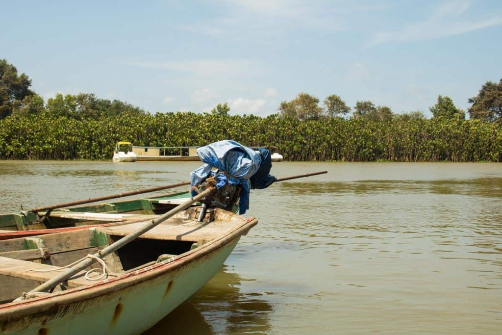 Passeio de barco no Delta do Rio Parnaíba - PI