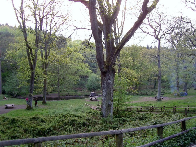 Forest of Dean - Harry Potter na Inglaterra