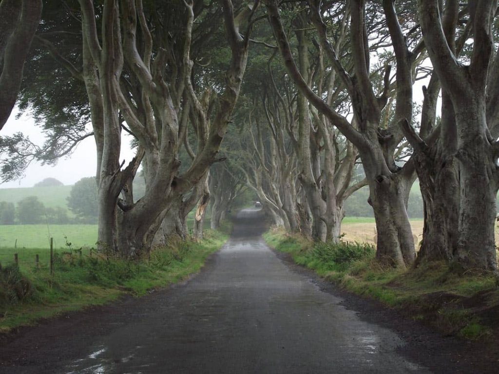 Kingsroad, locação de Game of Thrones