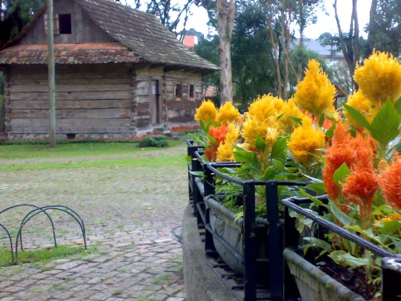 Bosque do Papa, parques de Curitiba