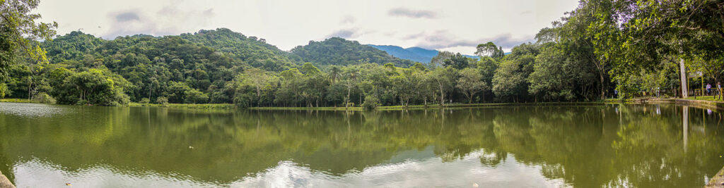 Reserva Biológica Federal do Tinguá