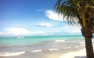 Melhores praias de Alagoas