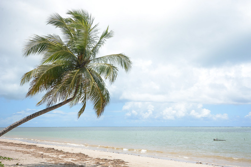 Praia do Patacho, Alagoas