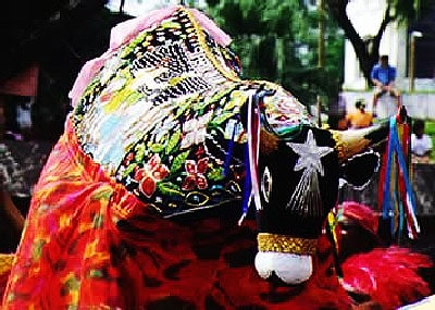 Festa junina em São Luis do Maranhão - bumba meu boi