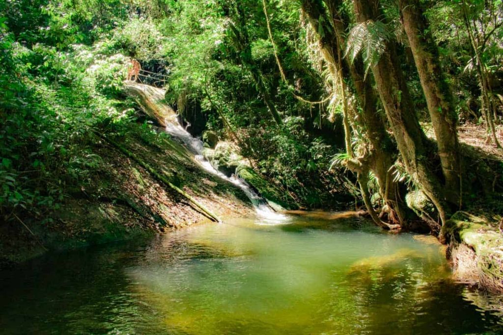 Poço das Raízes em Vale do Alcantilado, Visconde de Mauá