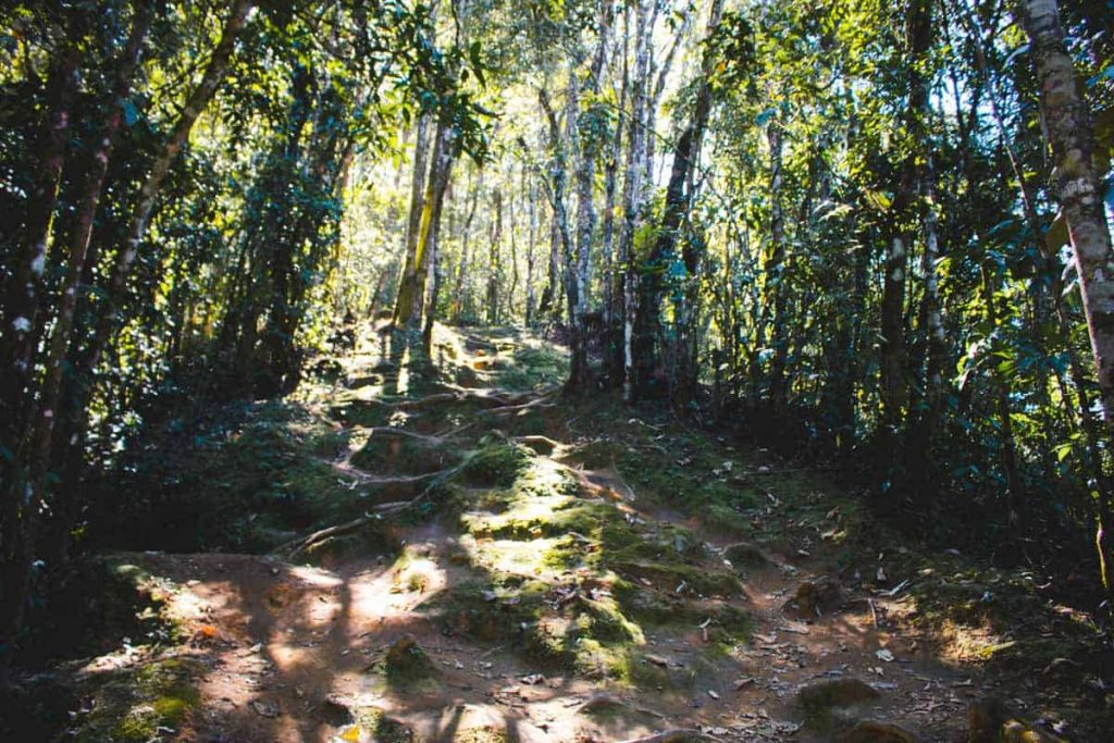 trilha Cachoeiras do Alcantilado, Visconde de Mauá