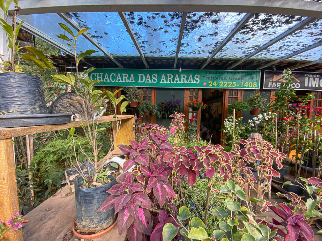 Loja de Plantas em Araras, RJ