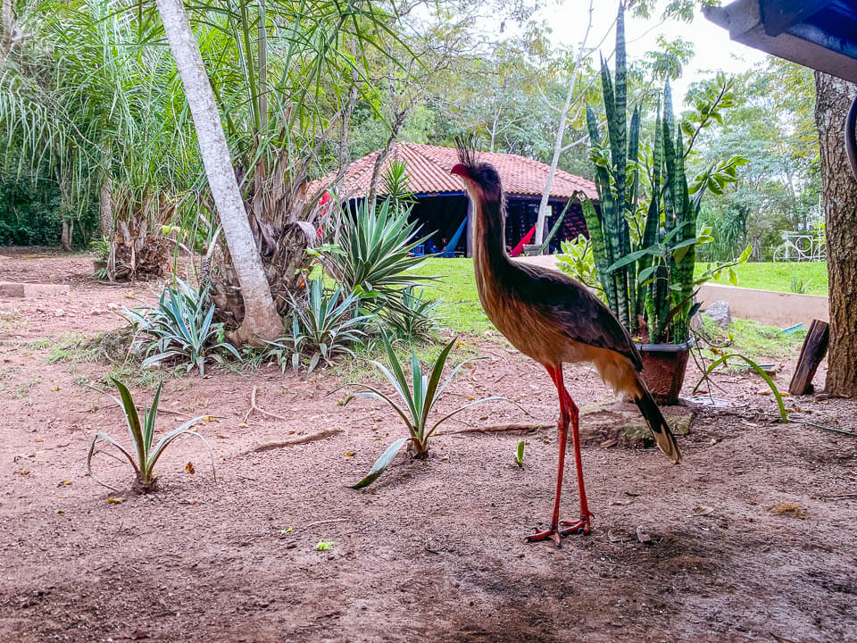 Parque das Cachoeiras, Bonito MS